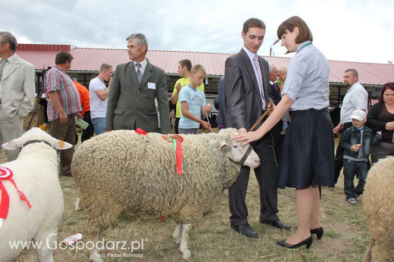 Wręczenie nagród na XVIII Regionalnej Wystawie Zwierząt Hodowlanych w Szepietowie