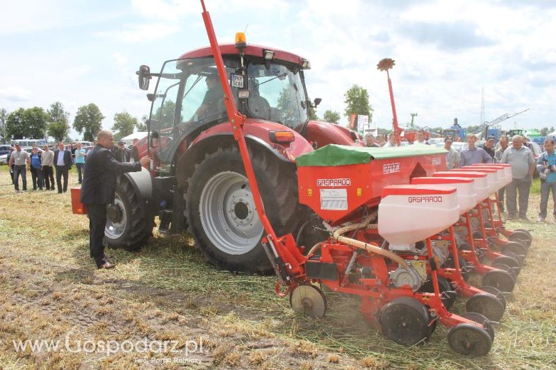 Pokazy polowe Romanów k/Krotoszyna