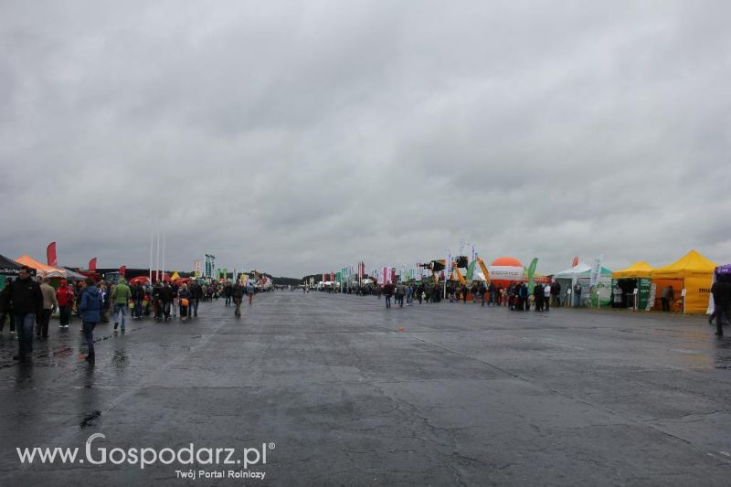 Polskie Zboża i Zielone Agro Show 2013