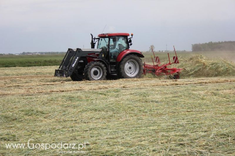 Pokazy polowe Romanów k/Krotoszyna