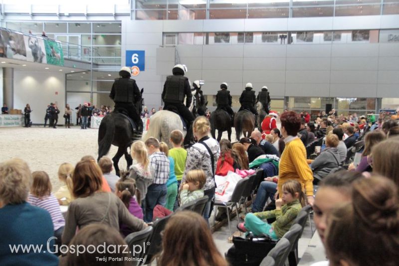 CAVALIADA 2013 w Poznaniu