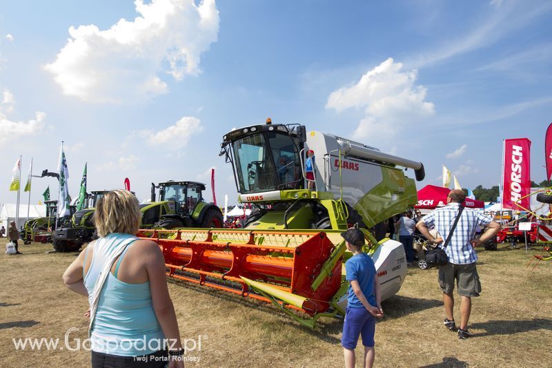 OPOLAGRA 2015 w Kamieniu Śląskim