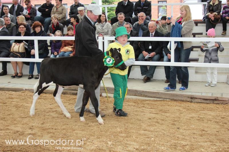 Mali Hodowcy VII Ogólnopolska Wystawa Bydła Hodowlanego w Sielinku 2012