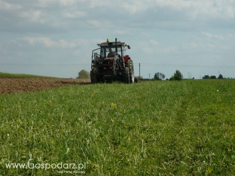 Żniwa Rzepakowe 2011 z MrZgredy