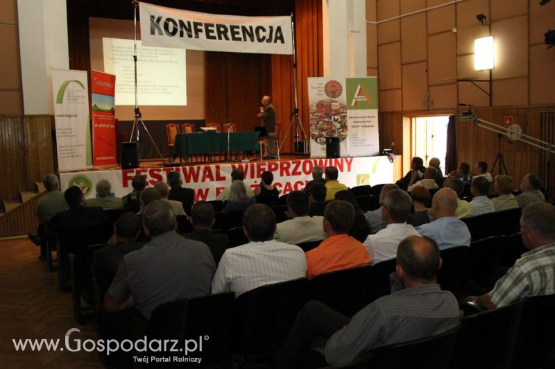 Festiwal Wieprzowiny w Bełżycach/Lublin