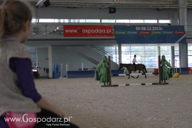 XXVI Krajowa Wystawa Zwierząt Hodowlanych - sobota i niedziela
