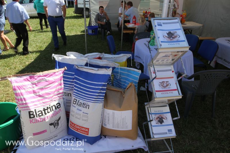 Targi rolne w Szepietowie (27-28.06.2015)