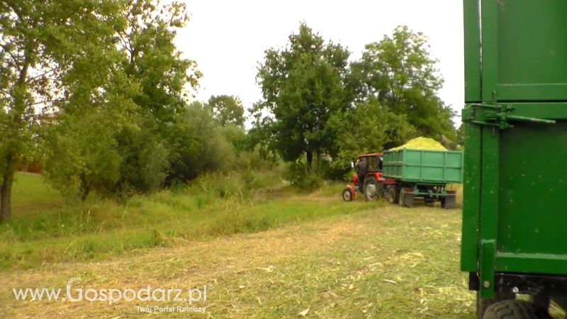 Kiszonka 2013
