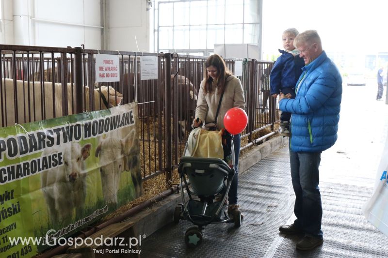 Krajowa Wystawa Zwierząt Hodowlanych w Poznaniu 2017 (piątek, 5 maja)