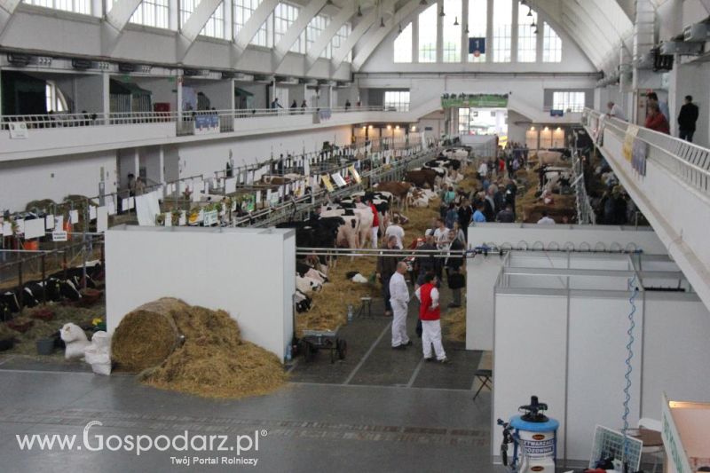 XXVI Krajowa Wystawa Zwierząt Hodowlanych - piątek