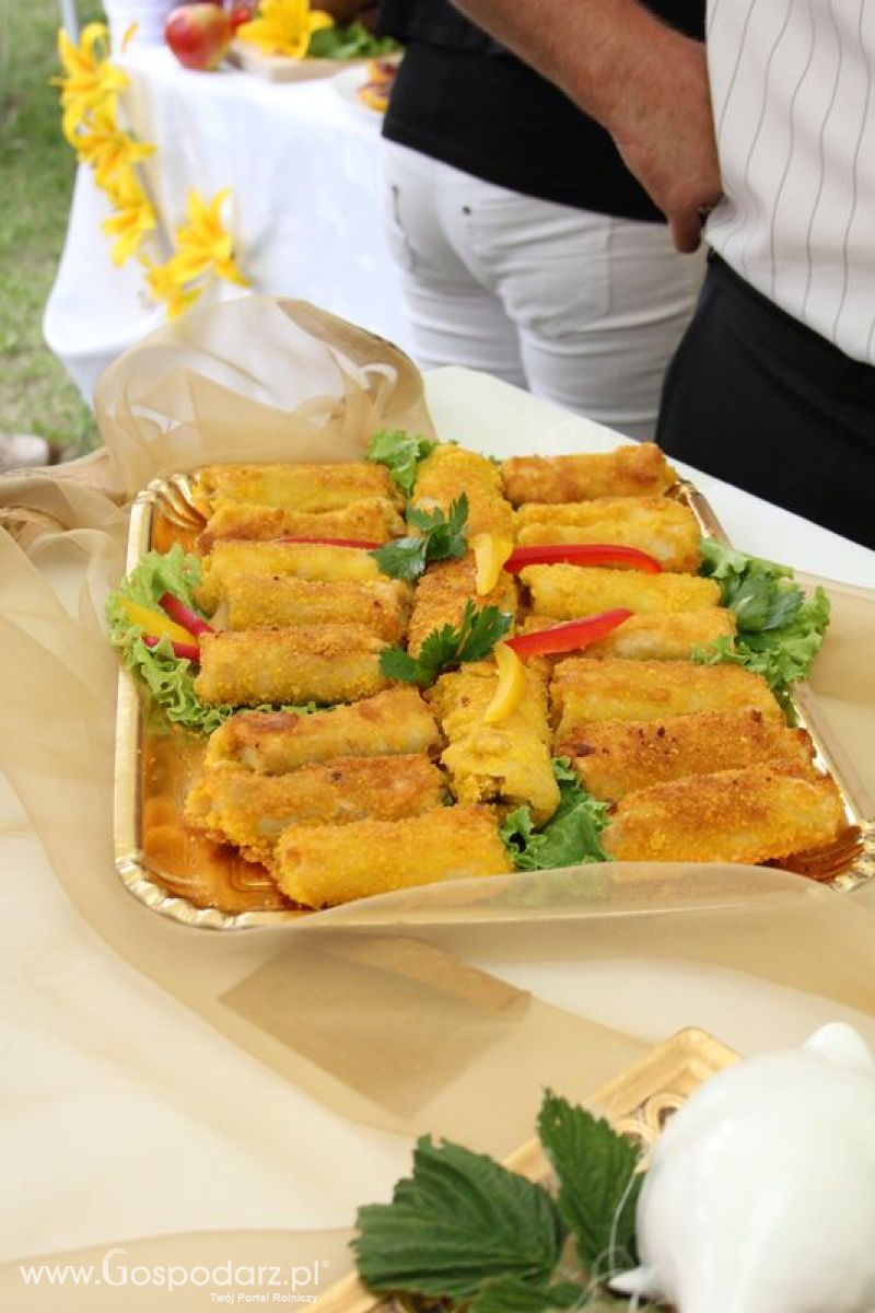 VIII Święto Gęsi - Konkurs kulinarny Najlepsza potrawa z Gęsi