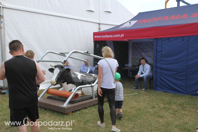 Niedziela na Opolagrze 2016 razem z Gospodarz.pl