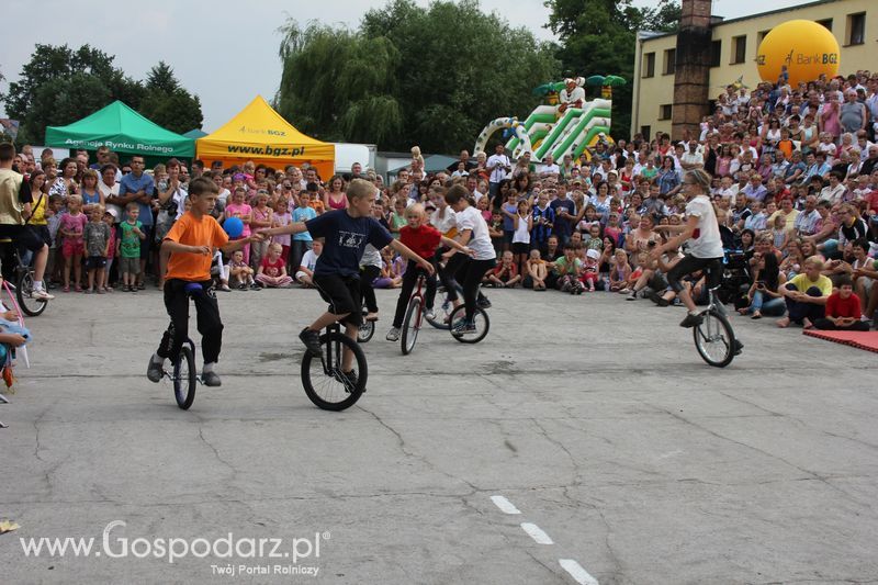 VIII Święto Gęsi w Biskupcu