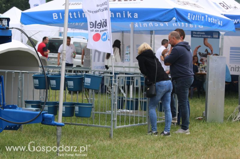 Regionalna Wystawa Zwierząt Hodowlanych i Dni z Doradztwem Rolniczym w Szepietowie 2017