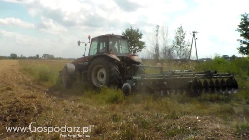 Talerzowane 2013 