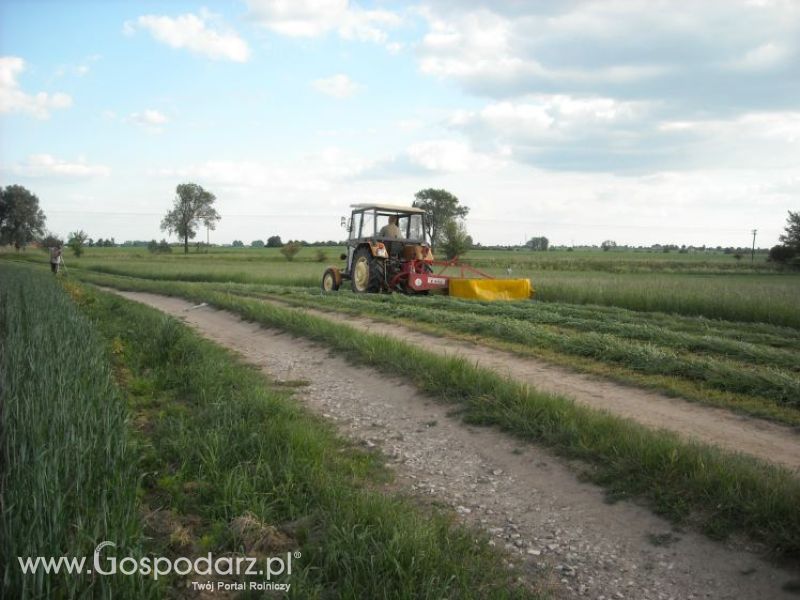 pierwsze sianokosy w roli głownej ursus c330M...