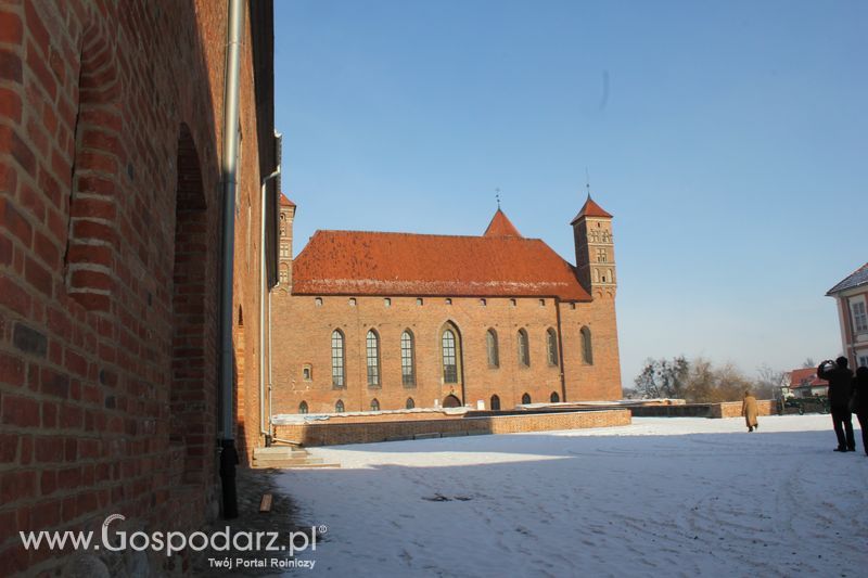 Grupy producenckie zapoznawały się z lokalną historia Lidzbarka Warmińskiego