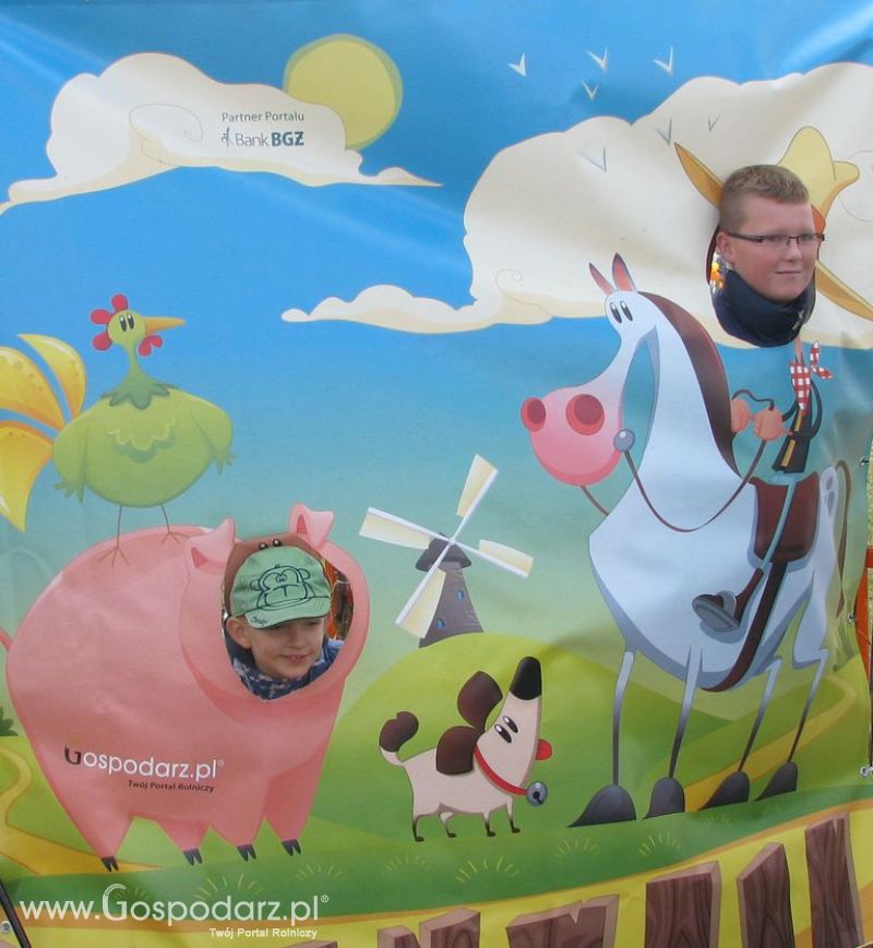 Zdjęcia ze świnką na Agro Show 2012 niedziela
