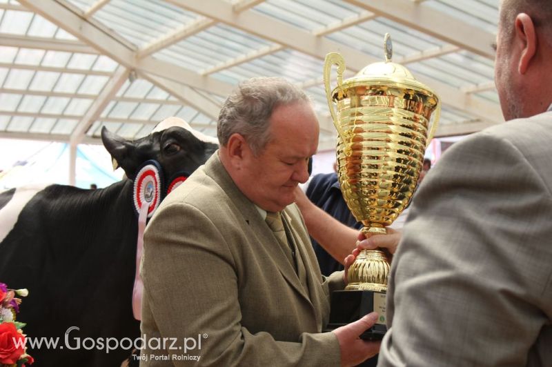 Championi VII Ogólnopolskiej Wystawy Bydła Hodowlanego - Sielinko 2012