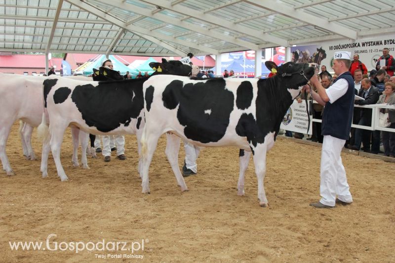 VII Ogólnopolska Wystawa Bydła Hodowlanego - Sielinko 2012