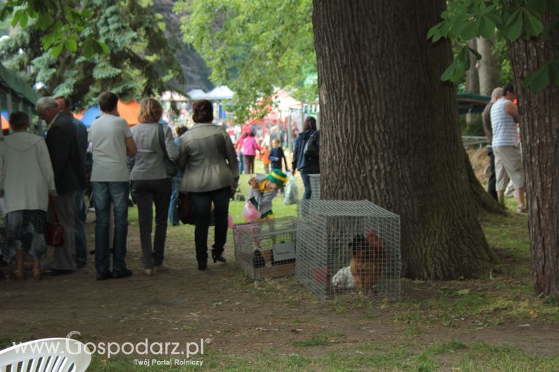 XX Targi Rolnicze Lubniewice 