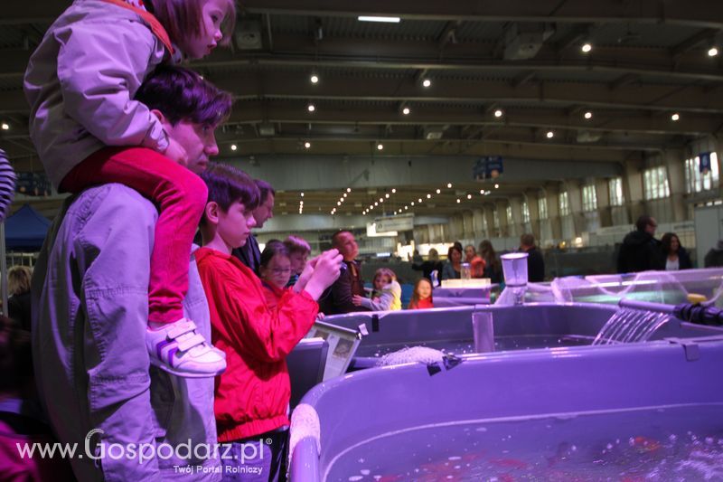 KWZH 2015 niedziela