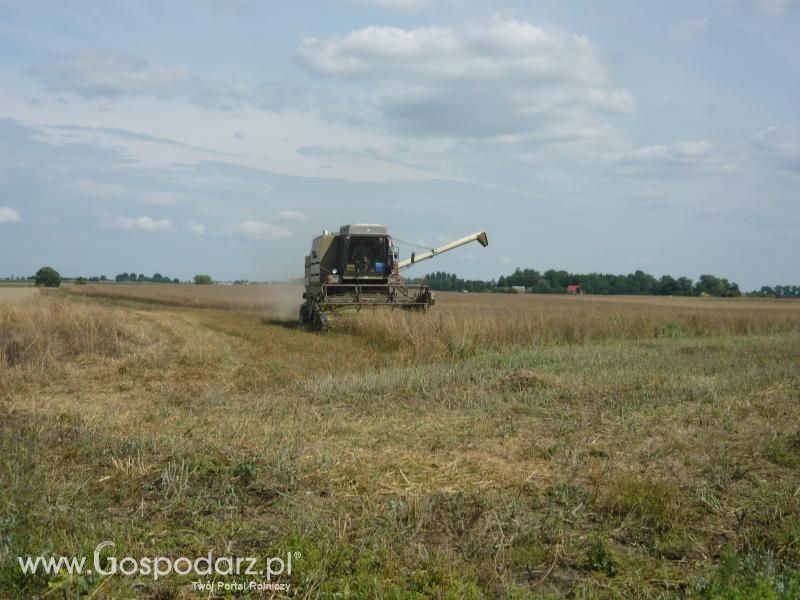 Żniwa Rzepakowe 2011