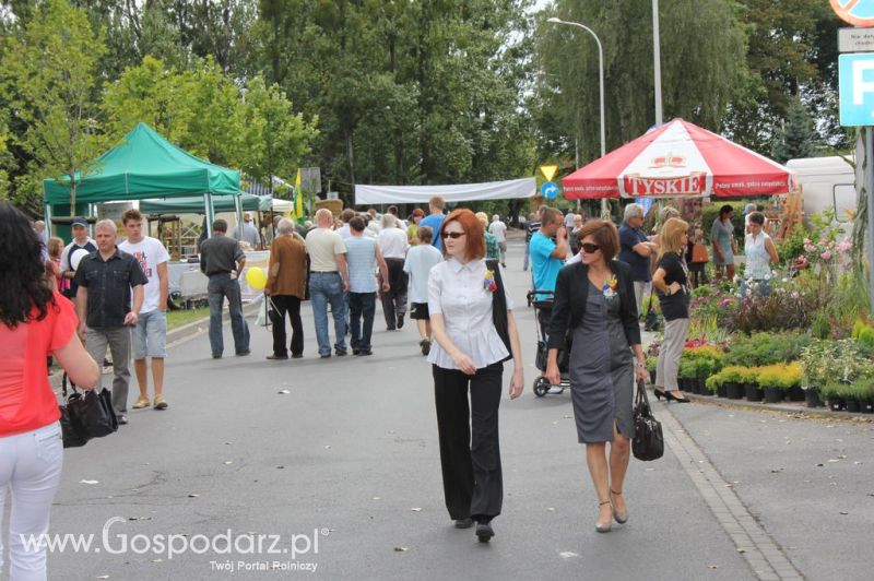 XIV Wojewódzko-Diecezjalne Dożynki Wielkopolskie w Ostrowie Wielkopolskim