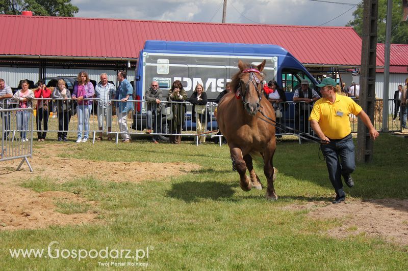 XVIII Regionalna Wystawa Zwierząt Hodowlanych i Dni z Doradztwem Rolniczym w Szepietowie - Sobota