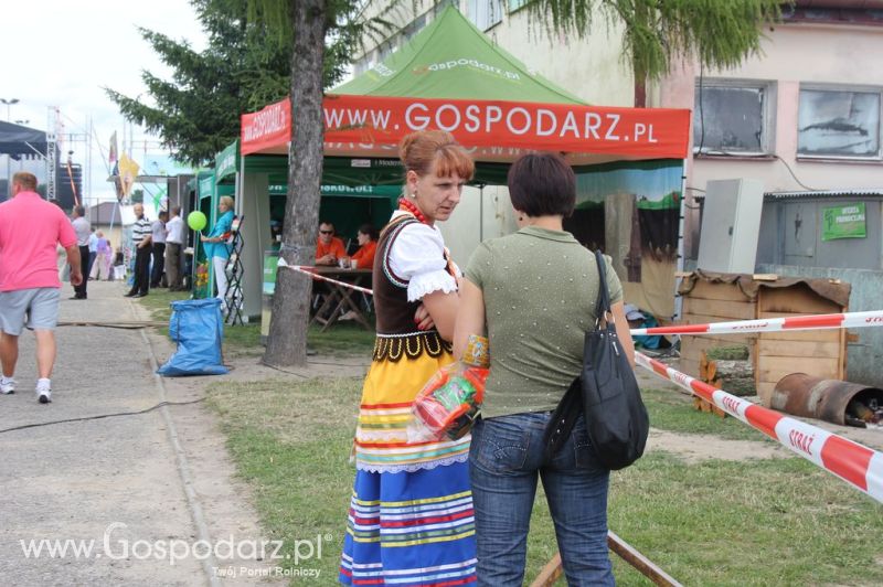 Festiwal Wieprzowiny w Bełżycach