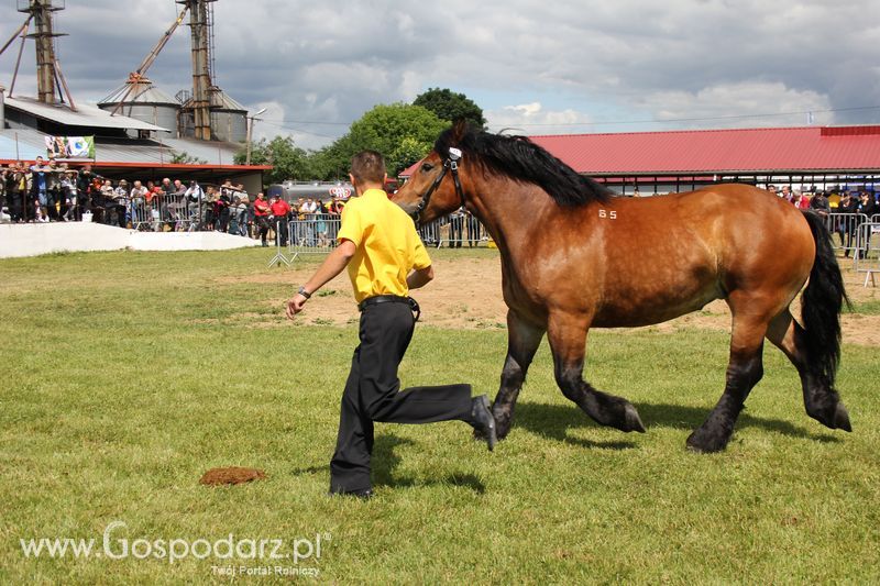 XVIII Regionalna Wystawa Zwierząt Hodowlanych i Dni z Doradztwem Rolniczym w Szepietowie - Sobota