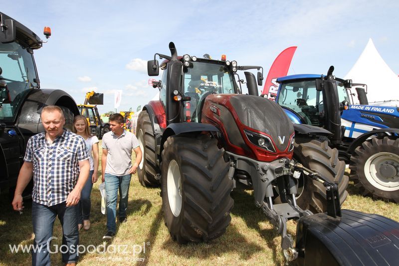 AGCO na Zielonym AGRO SHOW - Polskie Zboża 2015 w Sielinku