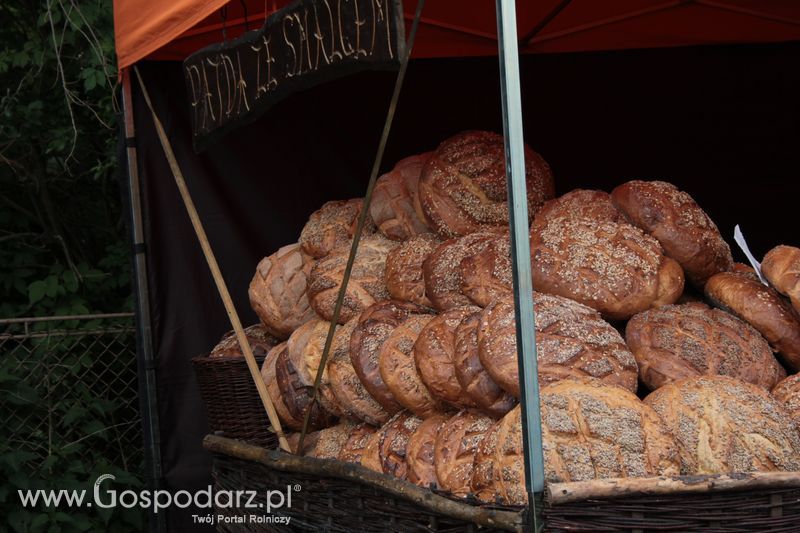 XX Targi Rolnicze Lubniewice 