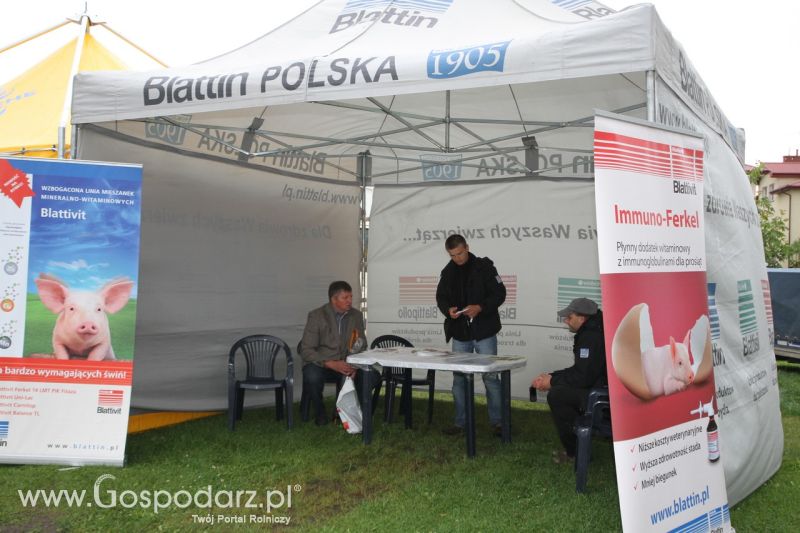 Festiwal Wieprzowiny w Bełżycach - niedziela