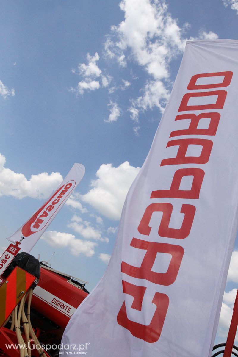 Maschio Gaspardoona na OPOLAGRA Kamień Śląski 2018
