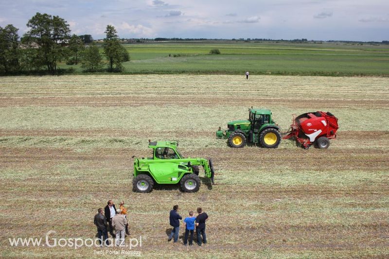 Pokazy polowe Romanów k/Krotoszyna