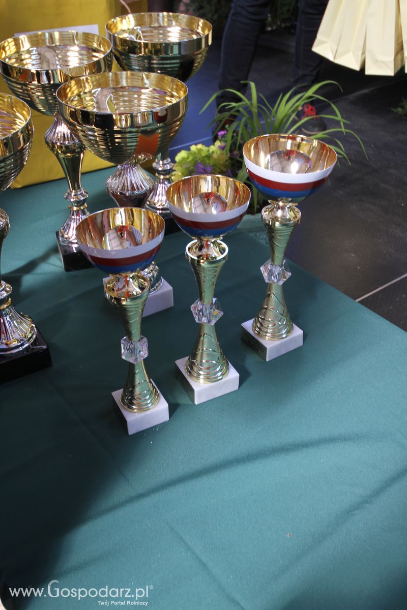 Cedrob Pasze na Wystawie w Szepietowie 