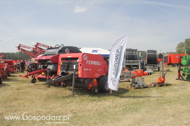 Zielone AGRO SHOW - Polskie Zboża 2015 w Sielinku