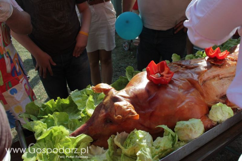 II Festiwal Wieprzowiny w Wąbrzeźnie