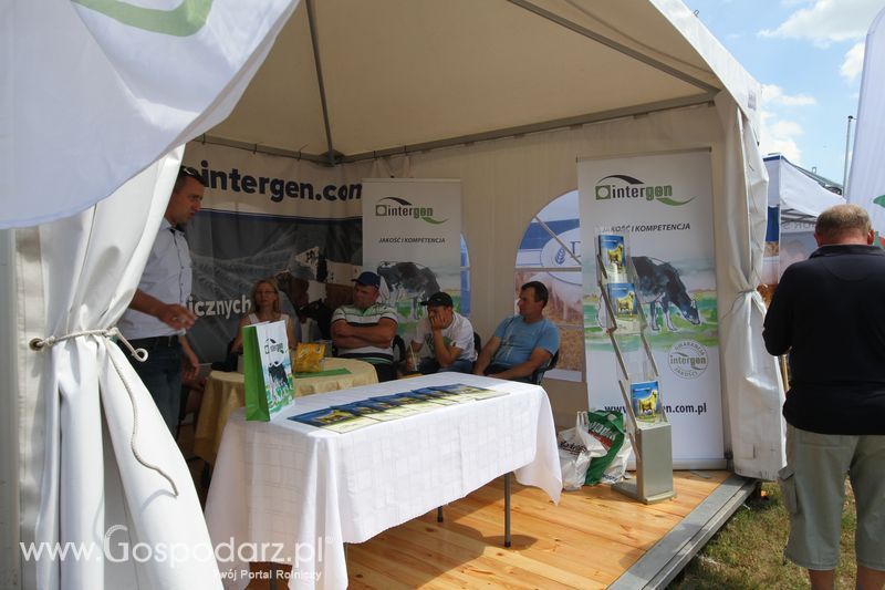 Intergen na OPOLAGRZE 2015