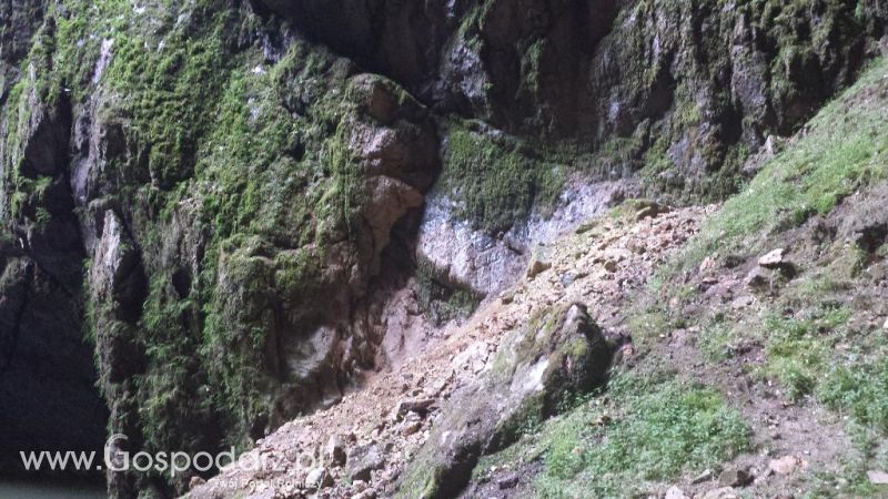 Precyzyjni Gospodarze w Czechach