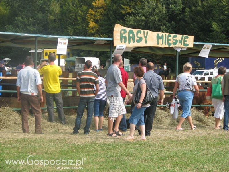 Krajowa Wystawa Ras Rodzimych Rudawka Rymanowska 2012 dzień 2