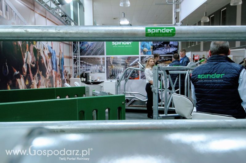 Ferma 2019 dzień 2