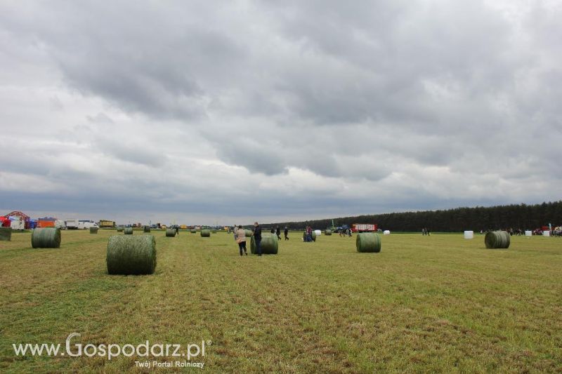 Pokazy maszyn Polskie Zboża Zielone Agro Show 2013