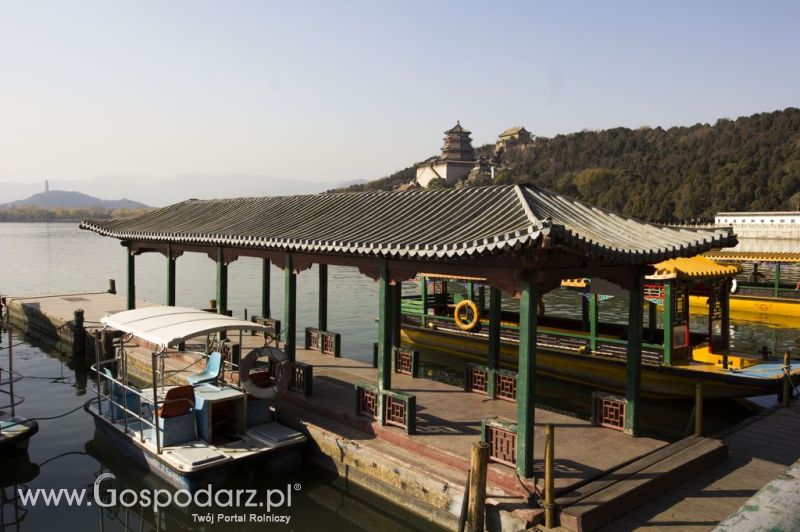 Gospodarz.pl w Chinach