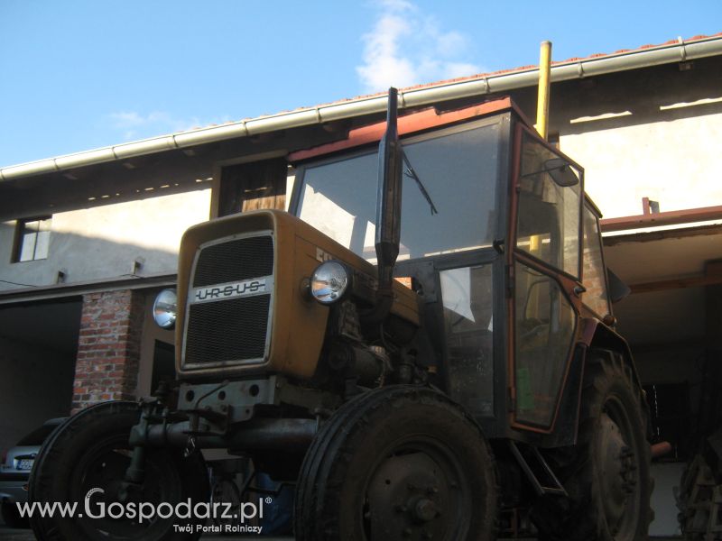 głowna