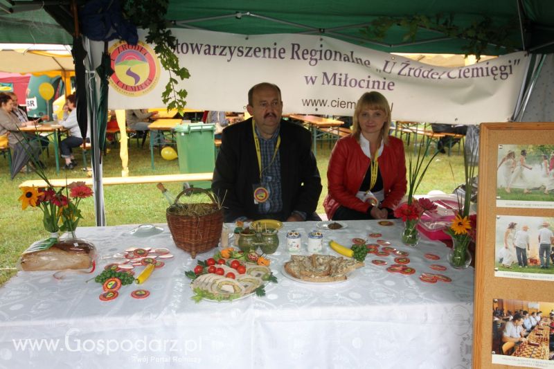 Festiwal Wieprzowiny w Bełżycach - niedziela