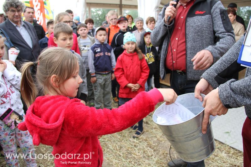 Majówka z Zetorem w Brzeziu