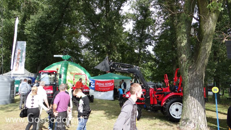 Pałuckie Targi Rolne 2014