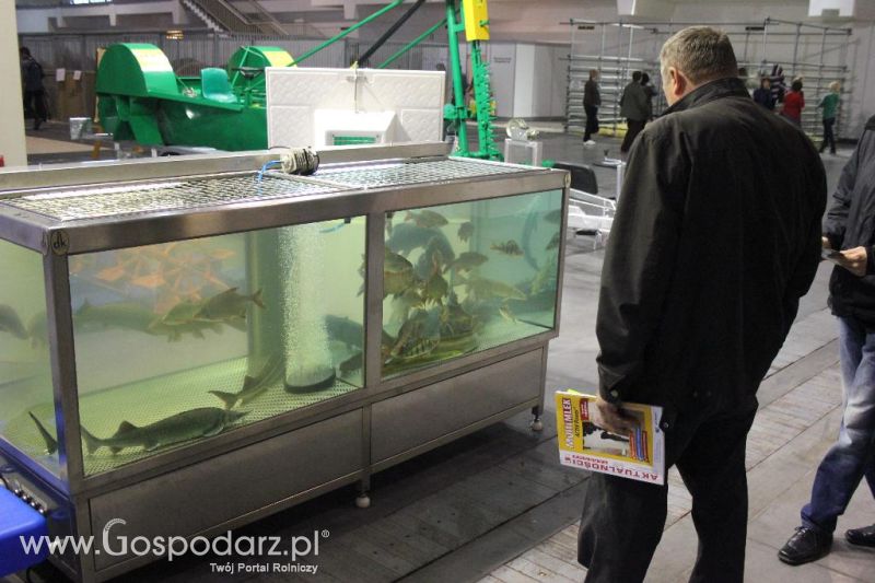 XXVI Krajowa Wystawa Zwierząt Hodowlanych - piątek